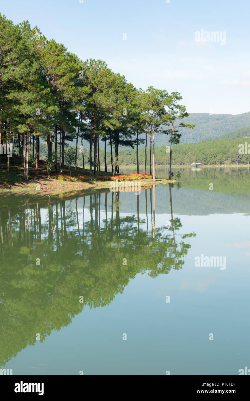 Pine forest island reflection on the lake with fresh air and nature, version panorama Stock Photo