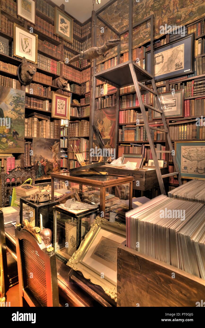 Wien, Antiquariat 'Zum Stein der Weisen' - Vienna, Old Bookshop 'Zum Stein  der Weisen' Stock Photo - Alamy