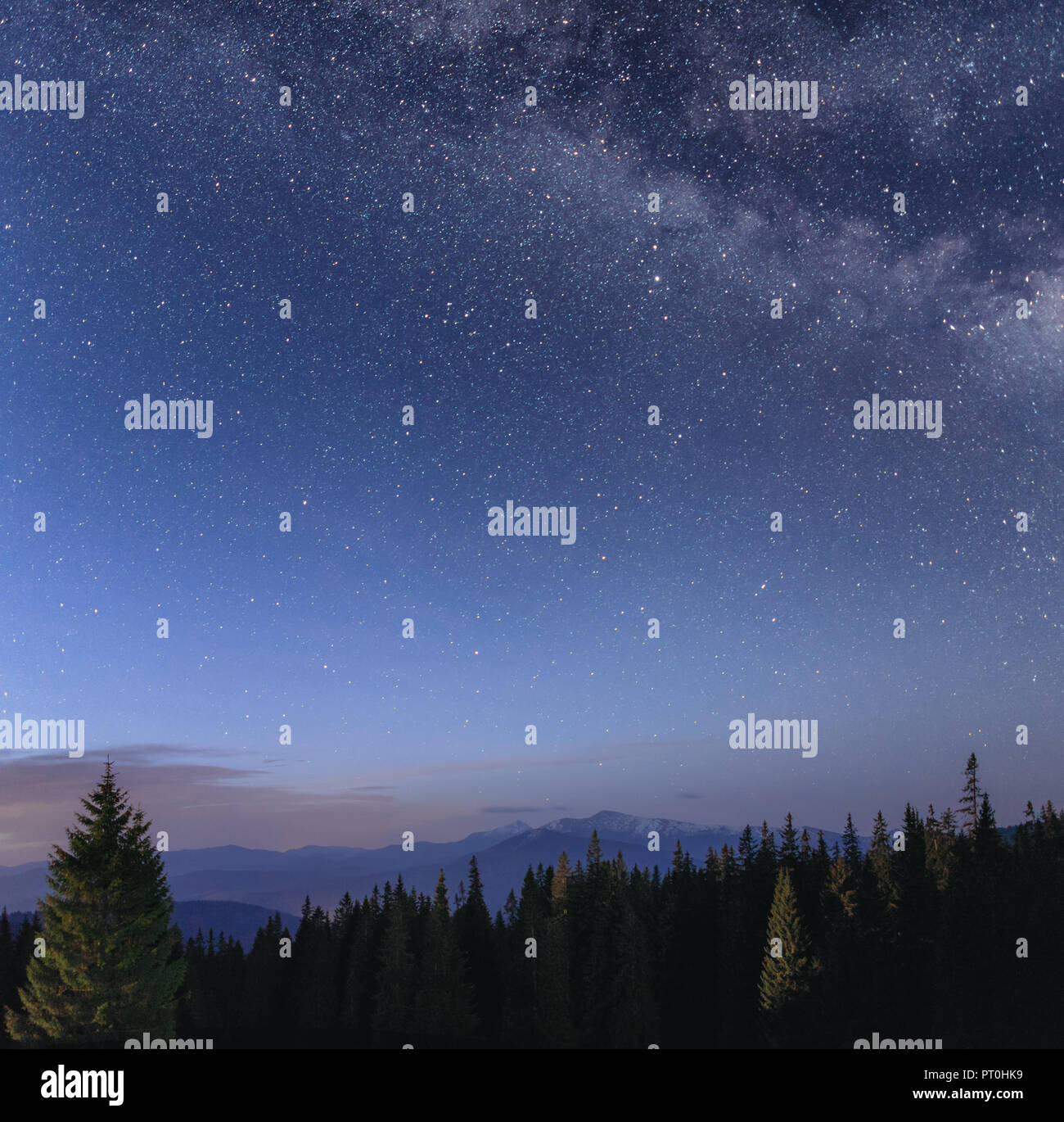 Night sky with Milky Way over the mountain landscape with forest at the ...