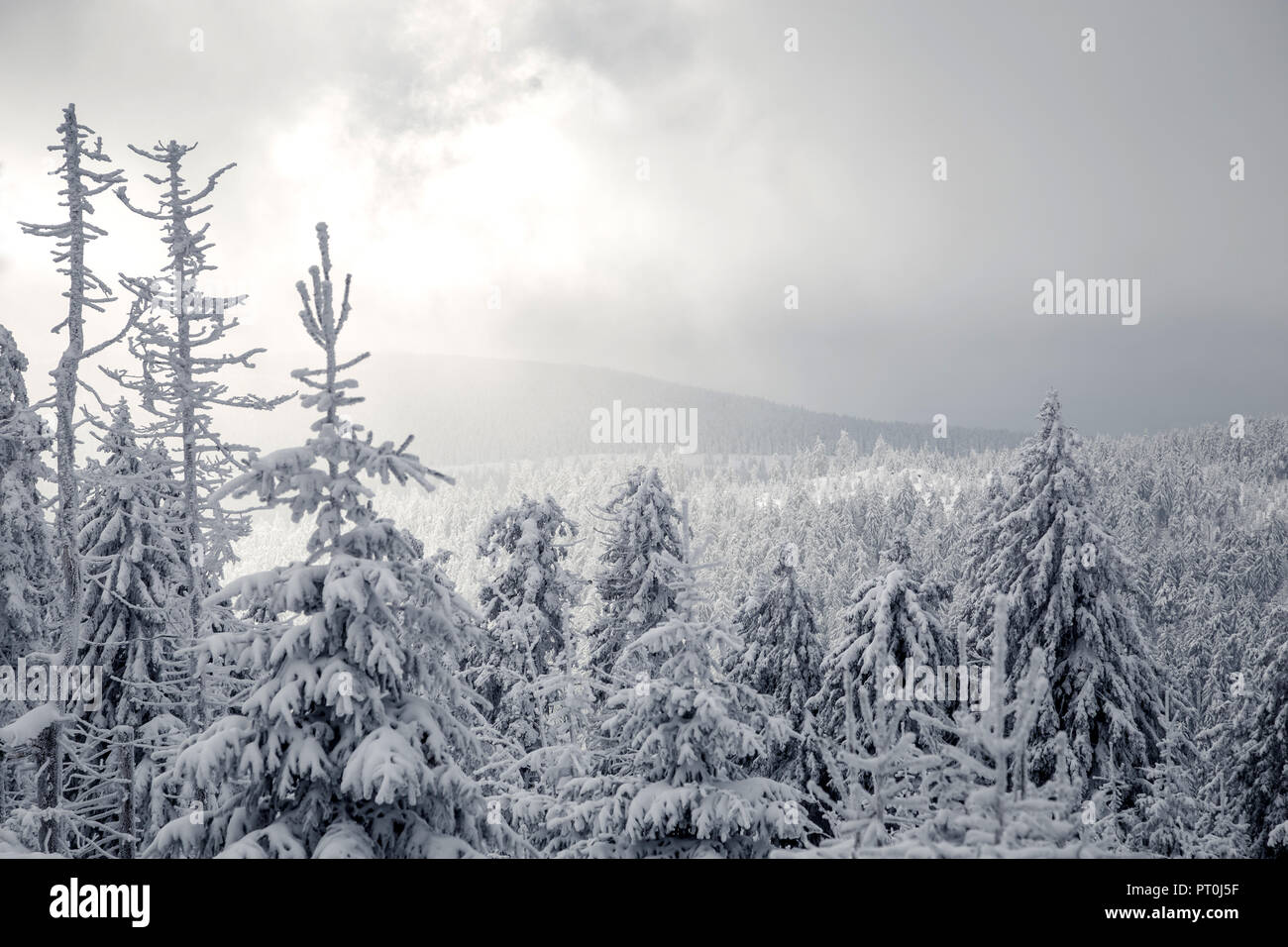 Winter in the Harz mountains Stock Photo