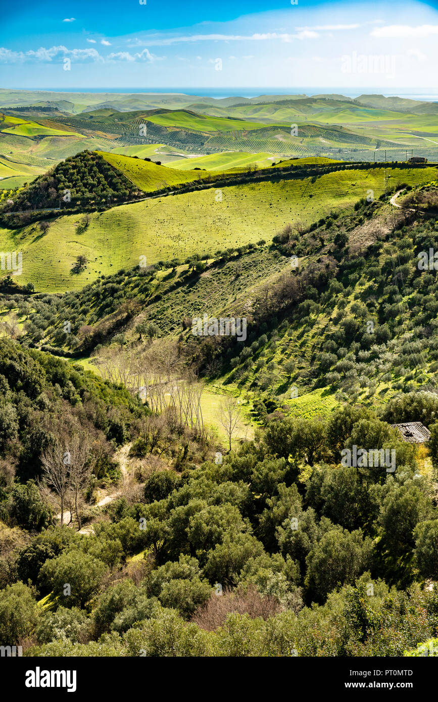 Italy Calabria Mesoraca (KR) Landscape Stock Photo