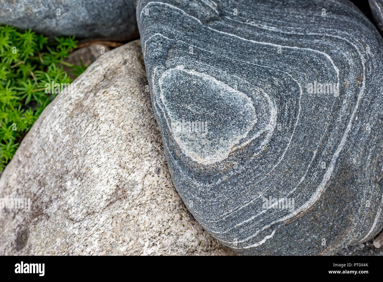 Layered big granite beautiful rock with amazing concentric black and