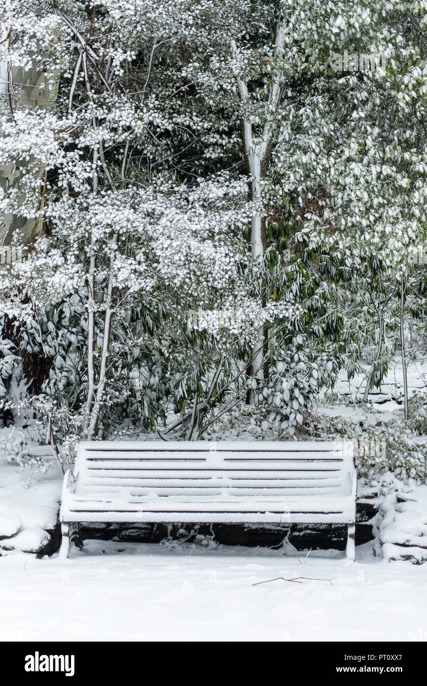 An empty bench in the park covered by snow Stock Photo - Alamy