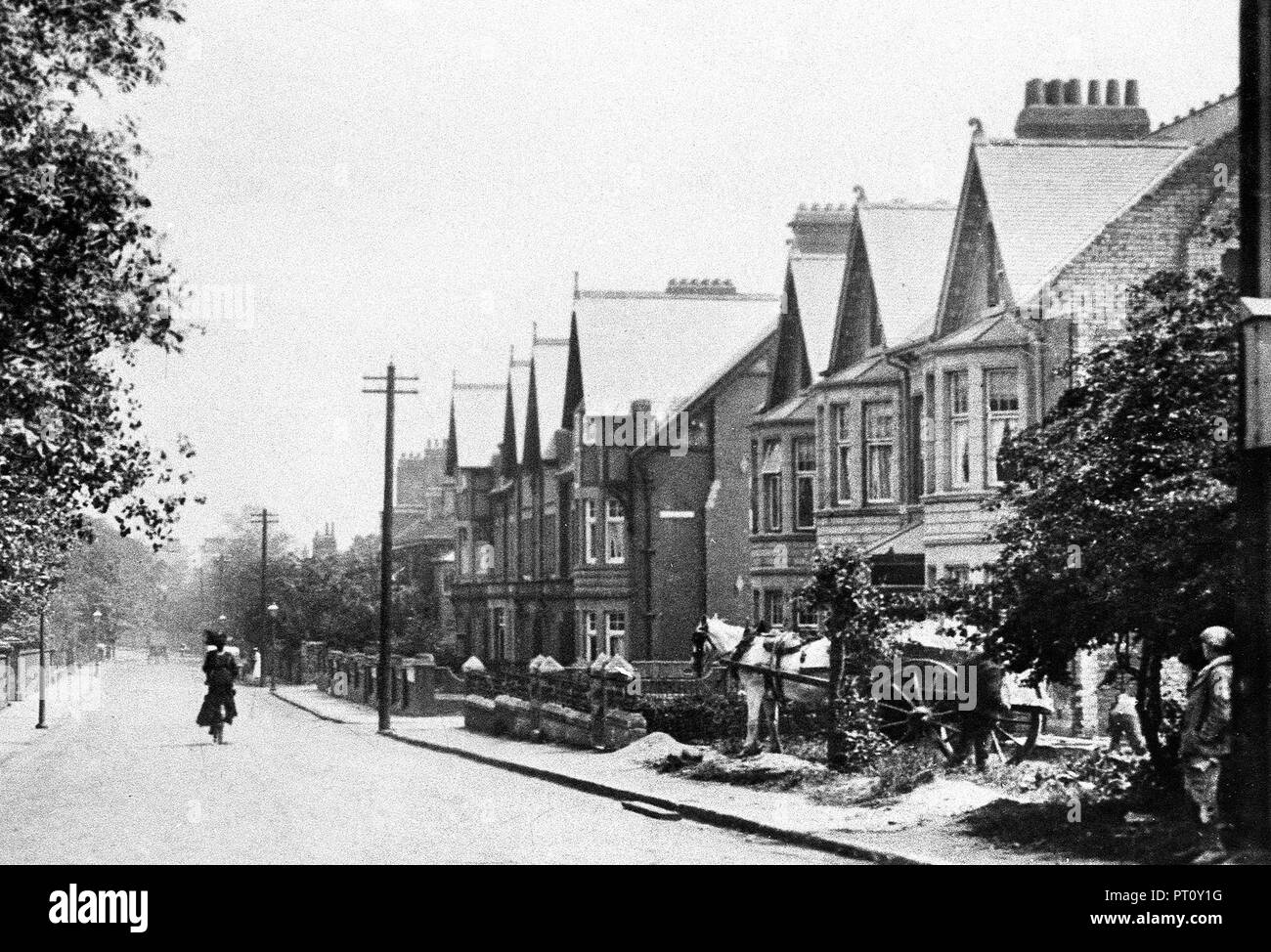 The Grove, Gosforth early 1900’s Stock Photo Alamy