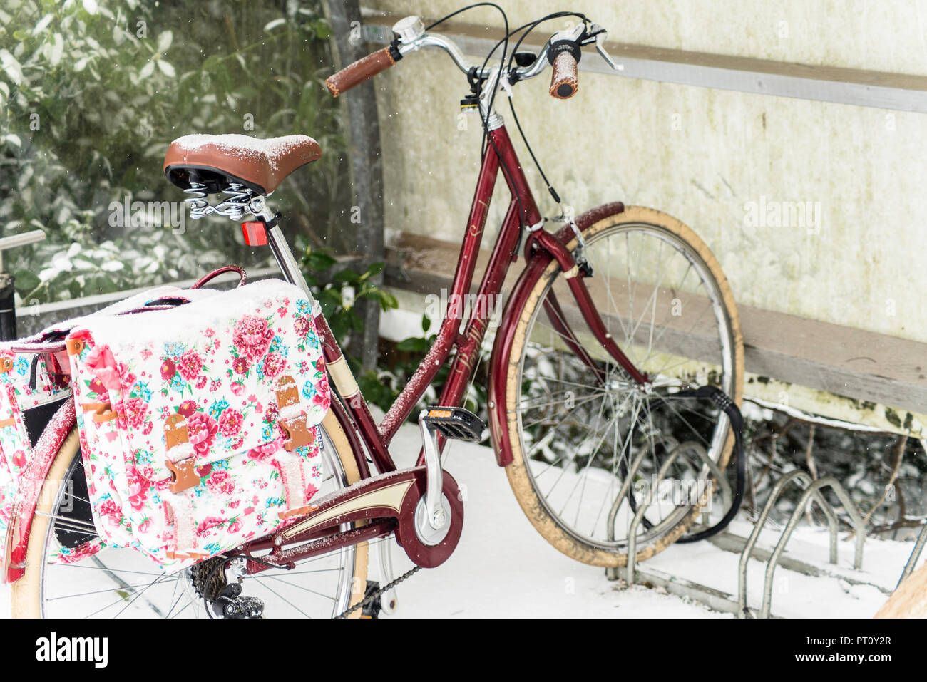 Bike on a rack under the snow outside Falmouth university, Cornwall Stock Photo