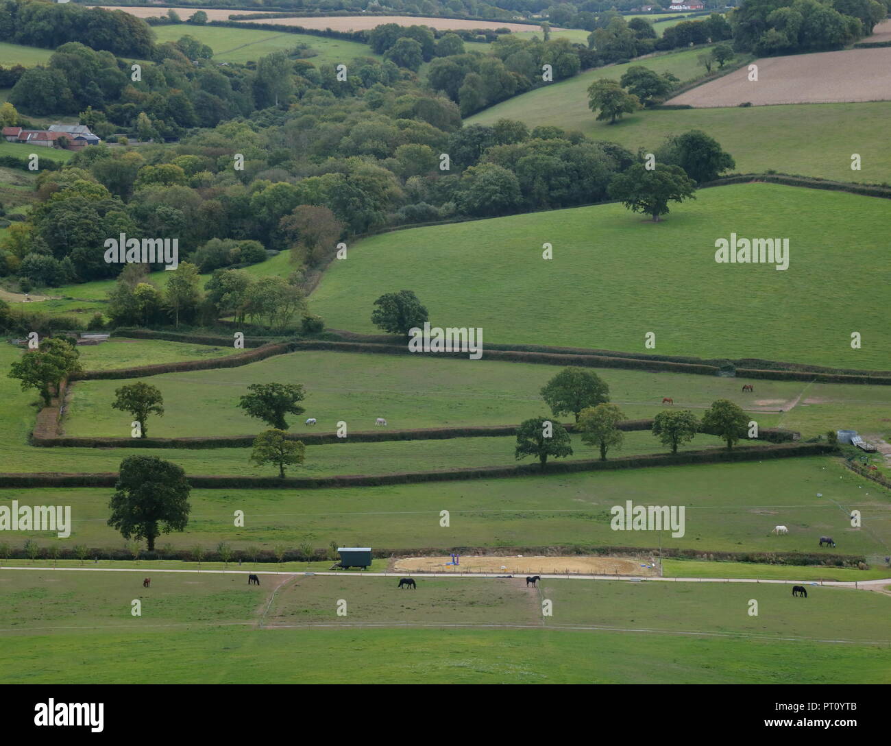 Farmland in East Devon Stock Photo