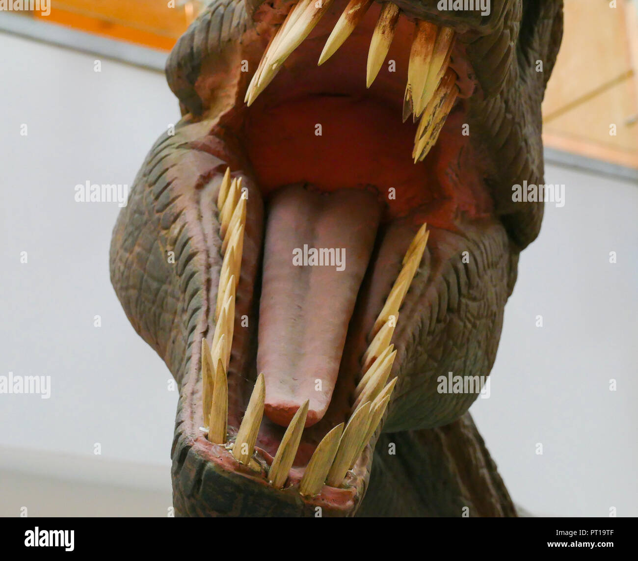 dinosaur with open mouth mock Stock Photo