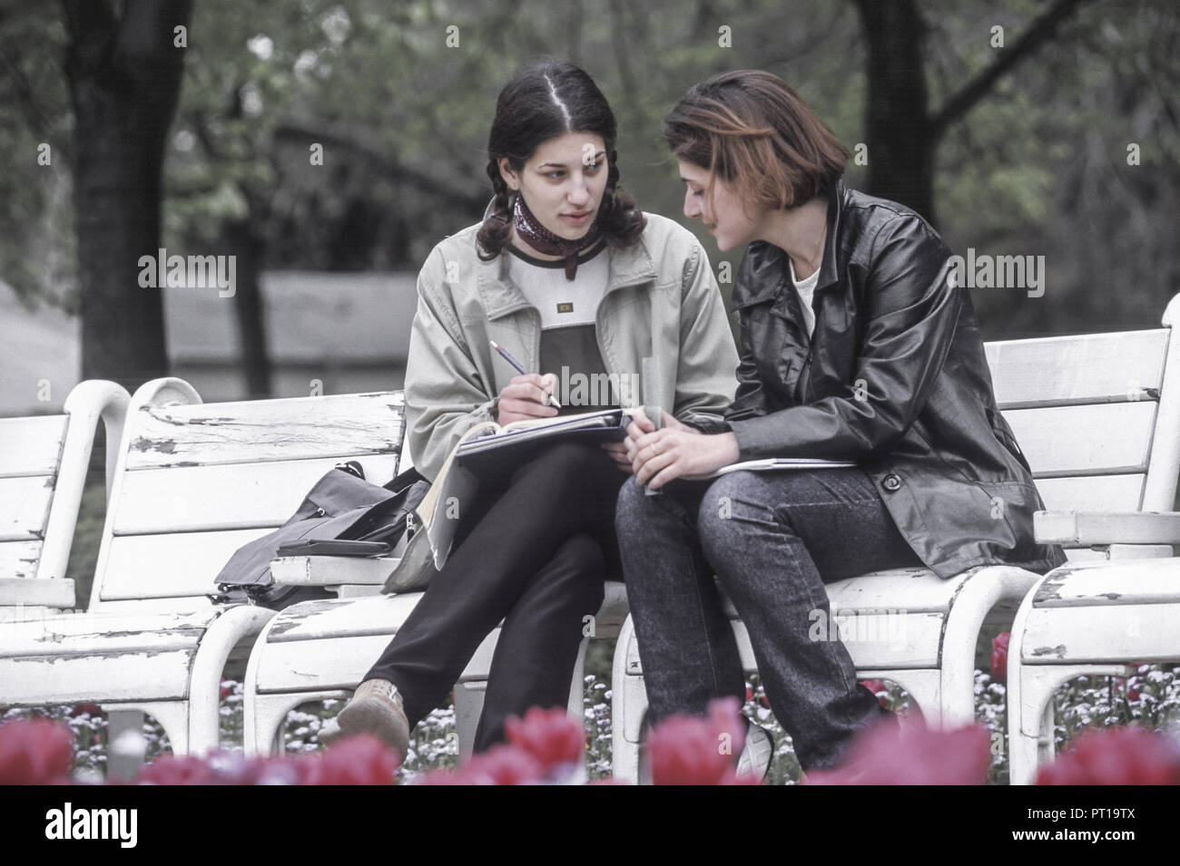 2 Girls Talking On A Park Bench Model Released Stock Photo