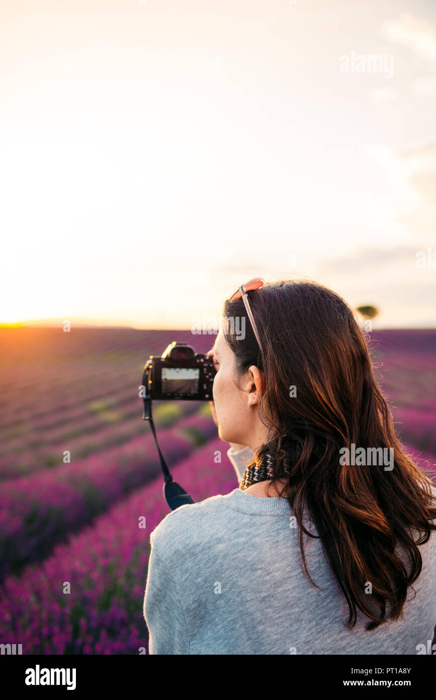 France, Valensole, woman taking photos with camera in front of lavender field at sunset Stock Photo