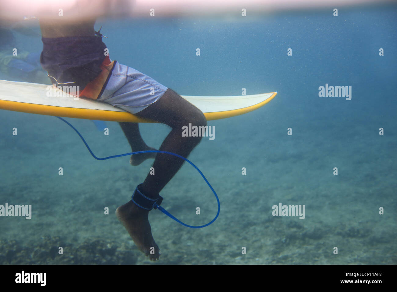 Maledives, Indian Ocean, surfer sitting on surfboard, underwater shot