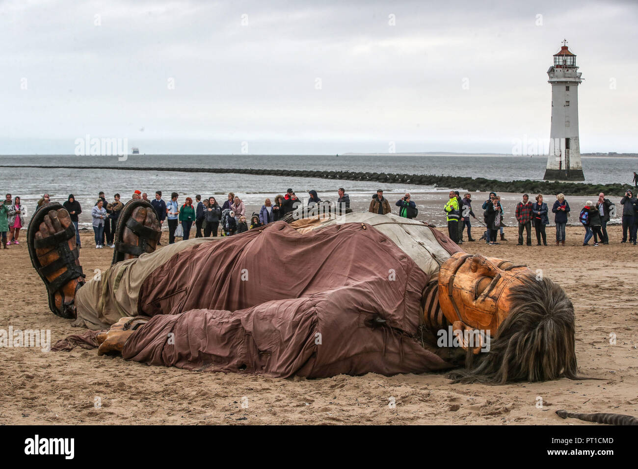 The Giant Man lays on the beach at New Brighton, Wirral, 'shipwrecked before he is woken up and goes for a walk', as part of the Royal De Luxe Giant Spectacular over the weekend. Stock Photo