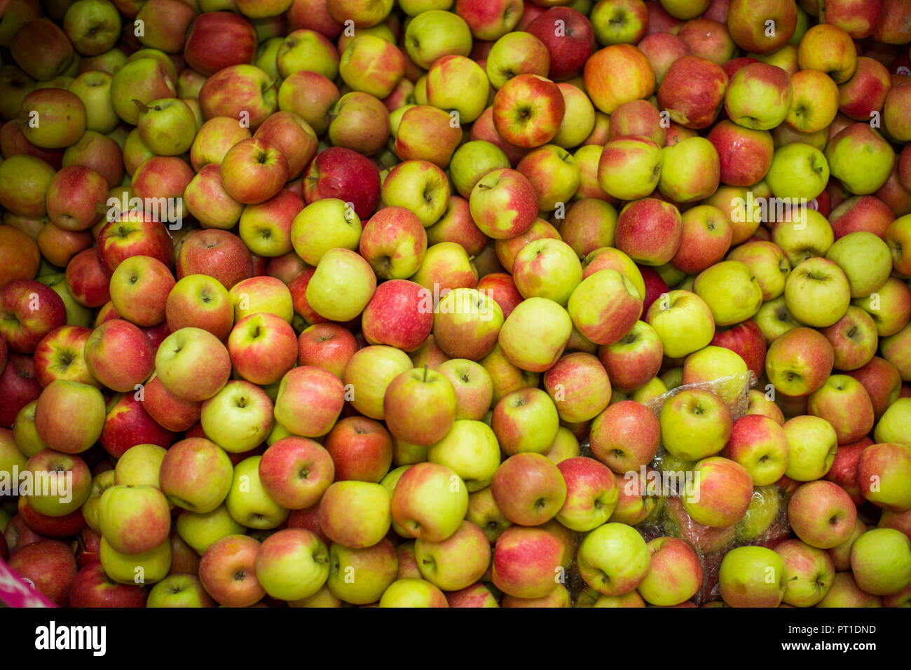 Fresh apples Stock Photo