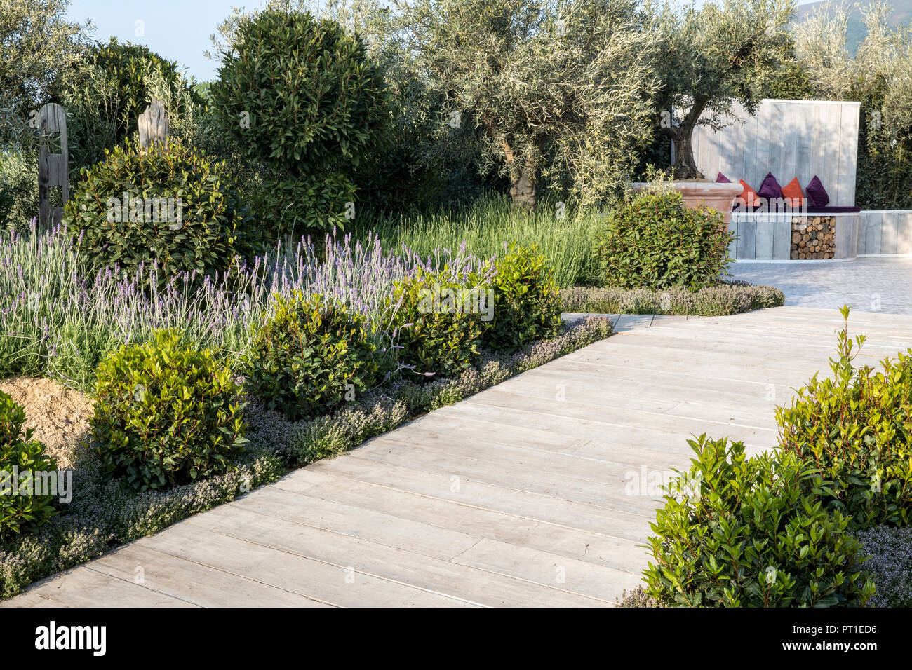 Mediterranean garden with wooden decking path lined with Prunus lusitanica underplanted with Thymus and Lavender Olive trees with outdoor seating area Stock Photo