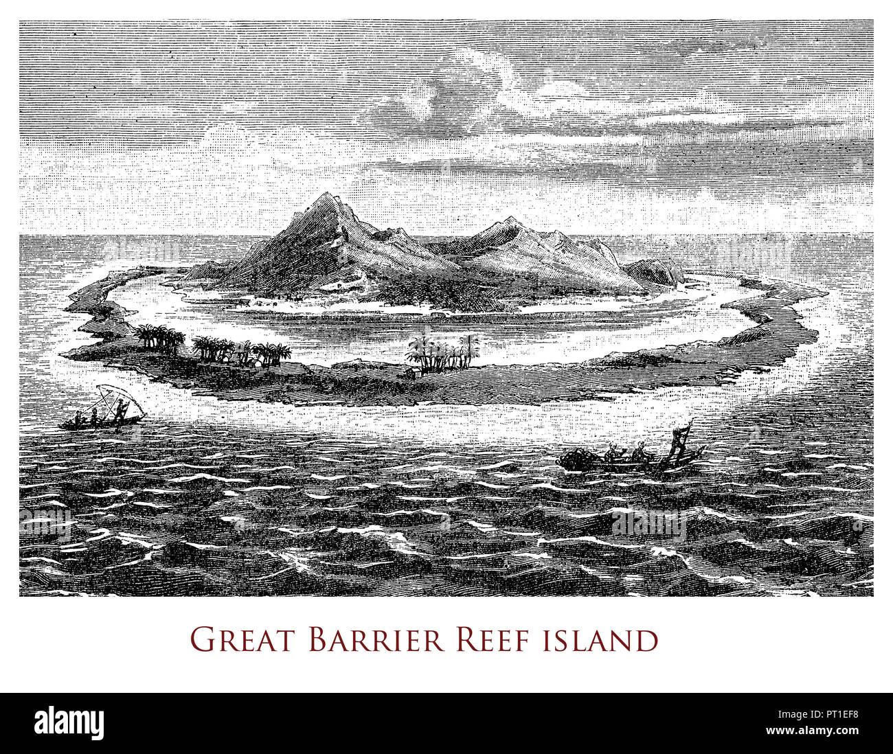 Coral reef great barrier reef Cut Out Stock Images Pictures Alamy