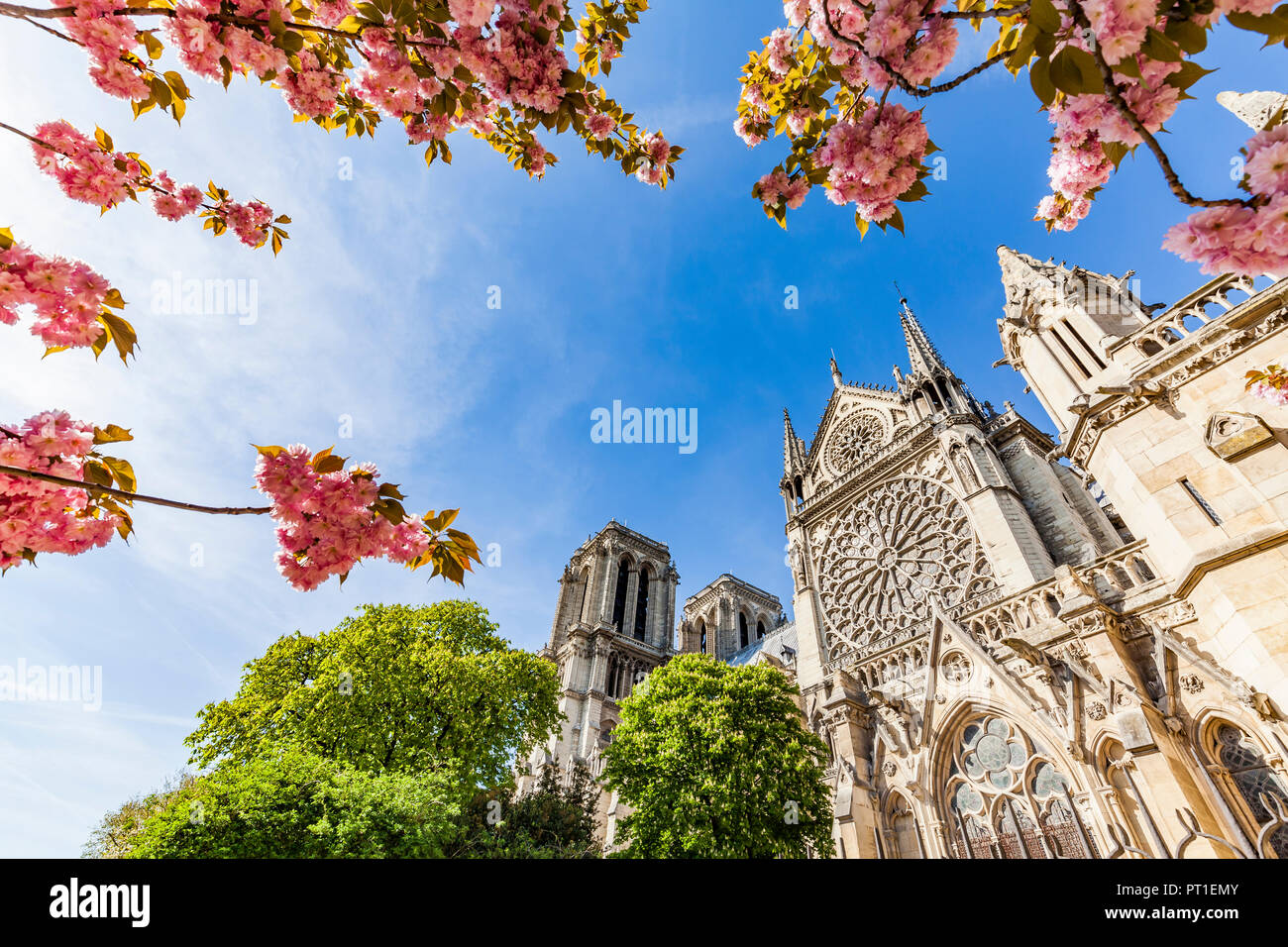 France, Paris, Notre Dame church in spring Stock Photo