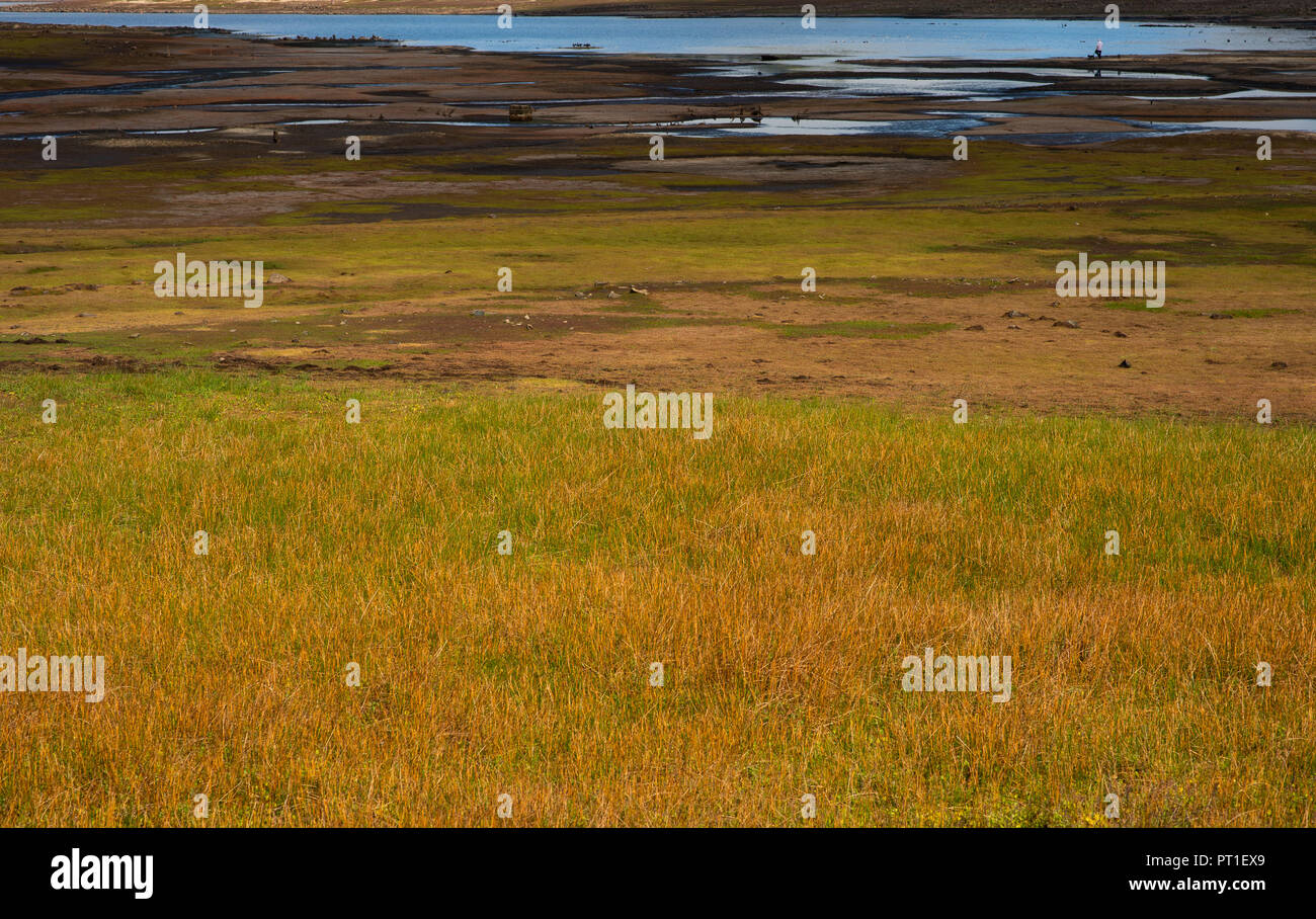 Low level view of the reservoir water and flats surrounding it in Autumn colours showing the grasses and mud. Stock Photo