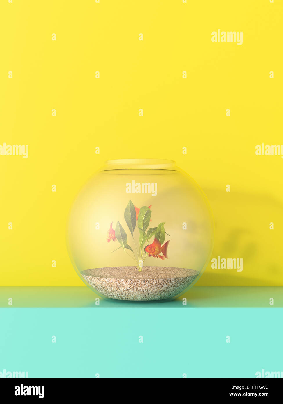 Goldfish bowl hires stock photography and images Alamy