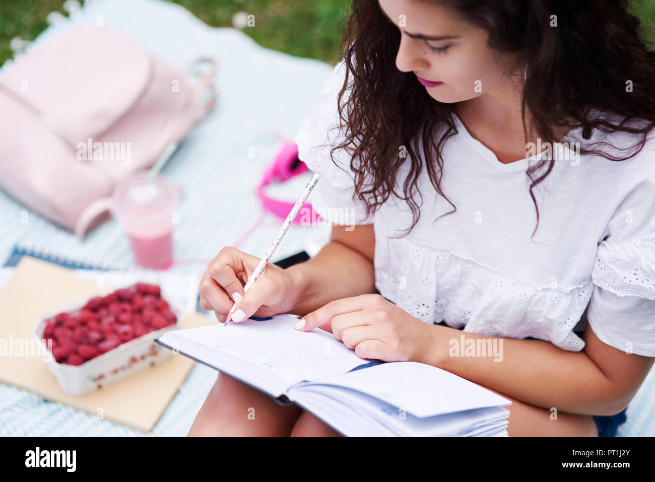 Young woman sitting on blanket on a meadow writing in notebook Stock Photo