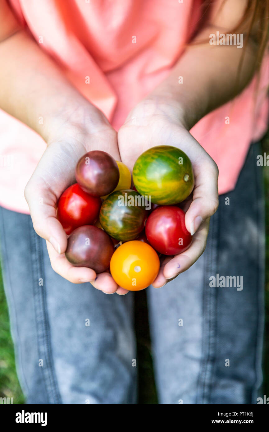 Girl holding colorful tomatoes in hand Stock Photo - Alamy