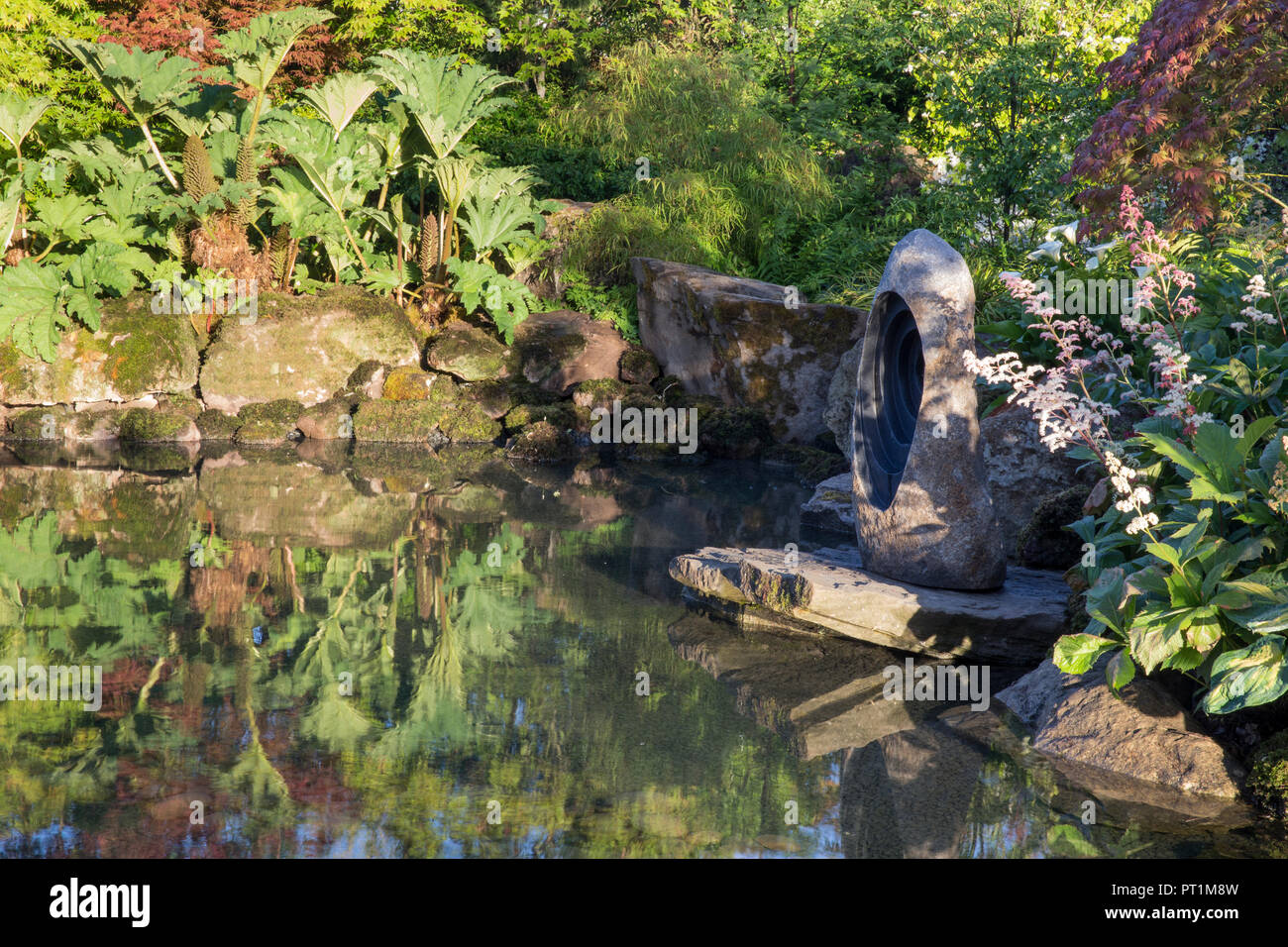 Small pond water feature with sculpture moss covered stones boulders Japanese style garden with, Gunnera manicata Rodgersia aesculifolia UK Stock Photo