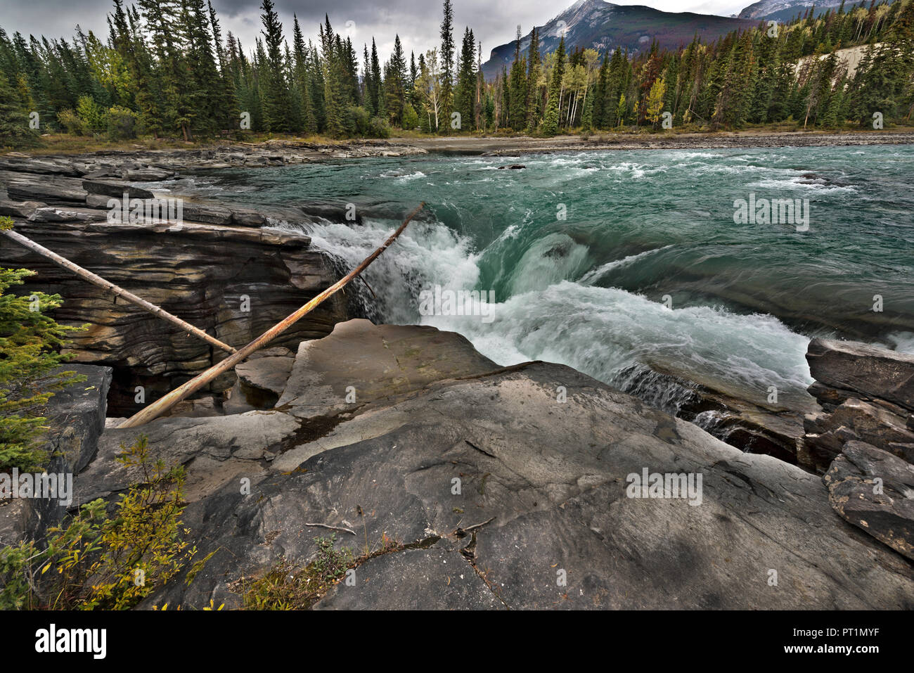 Athabasca falls, Jasper NP, Alberta, Canada Stock Photo