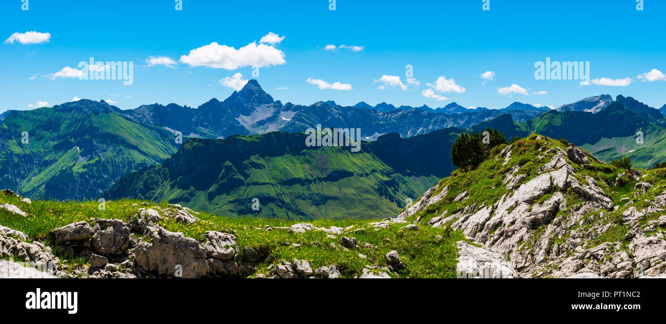 Koblat am Nebelhorn, dahinter der Hochvogel (2592m), Allgäuer Alpen, Allgäu, Bayern, Deutschland, Europa Stock Photo