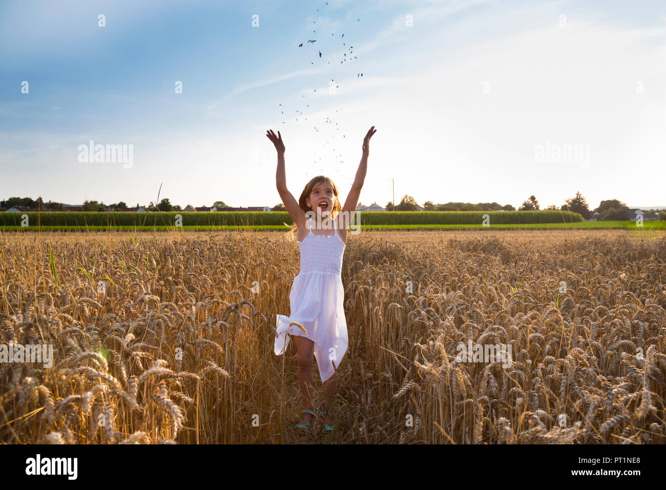 Little girl having fun in wheat field Stock Photo - Alamy