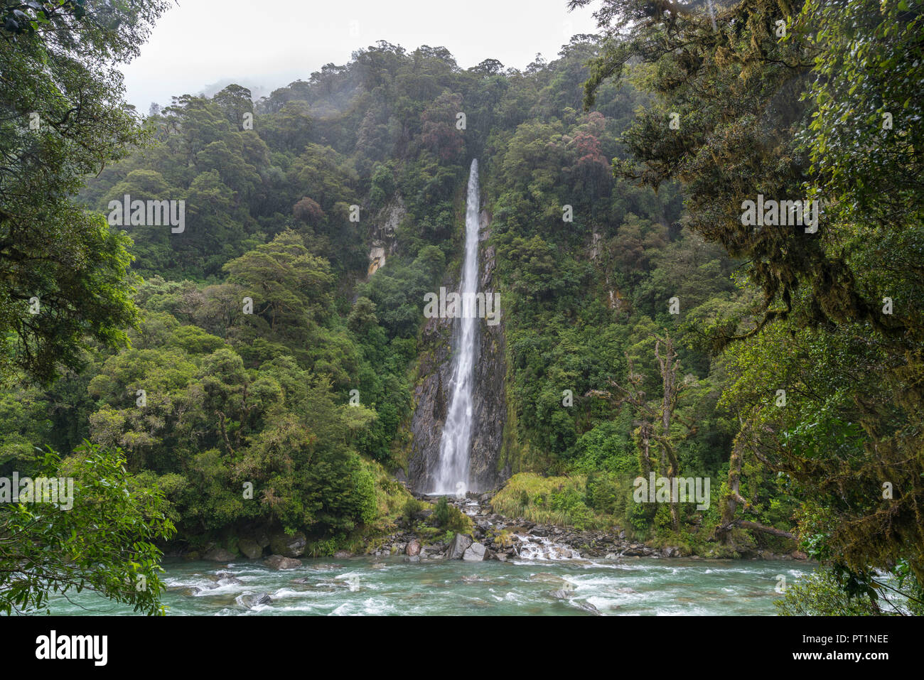 Thunder Creek Falls on a rainy day, Mount Aspiring National Park, West Coast region, South Island, New Zealand, Stock Photo