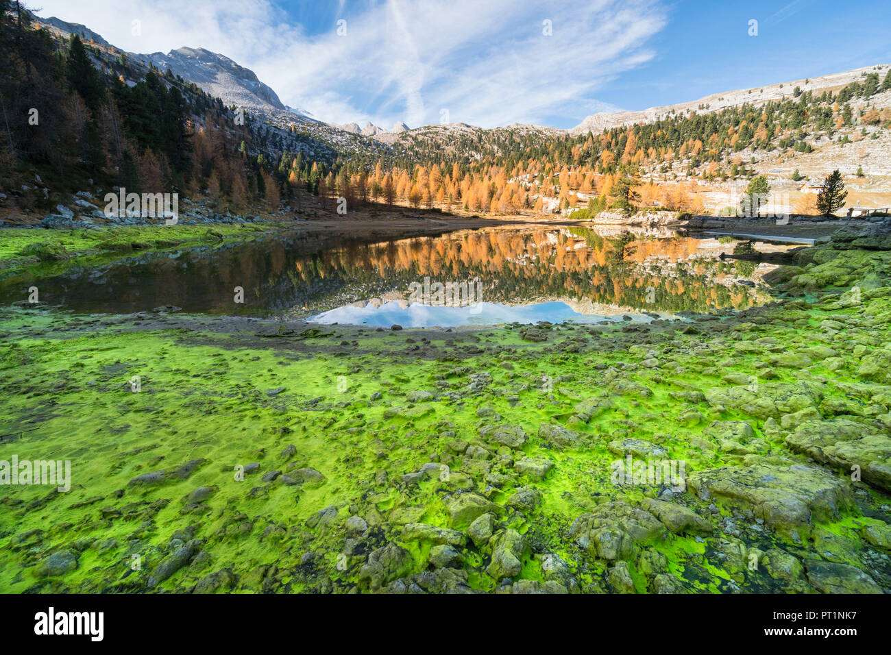 The green Fanes lake in Dolomites with autumnal coulors, Fanes valley, Badia Valley, Trentino, Italy, Stock Photo