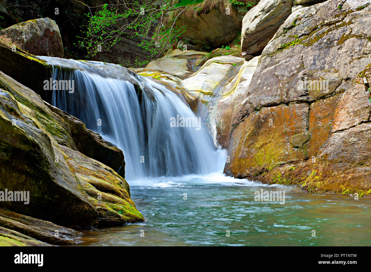 Pellice Valley, Turin province, Piedmonte, Italy, Waterfall on the Creek Angrogna Stock Photo