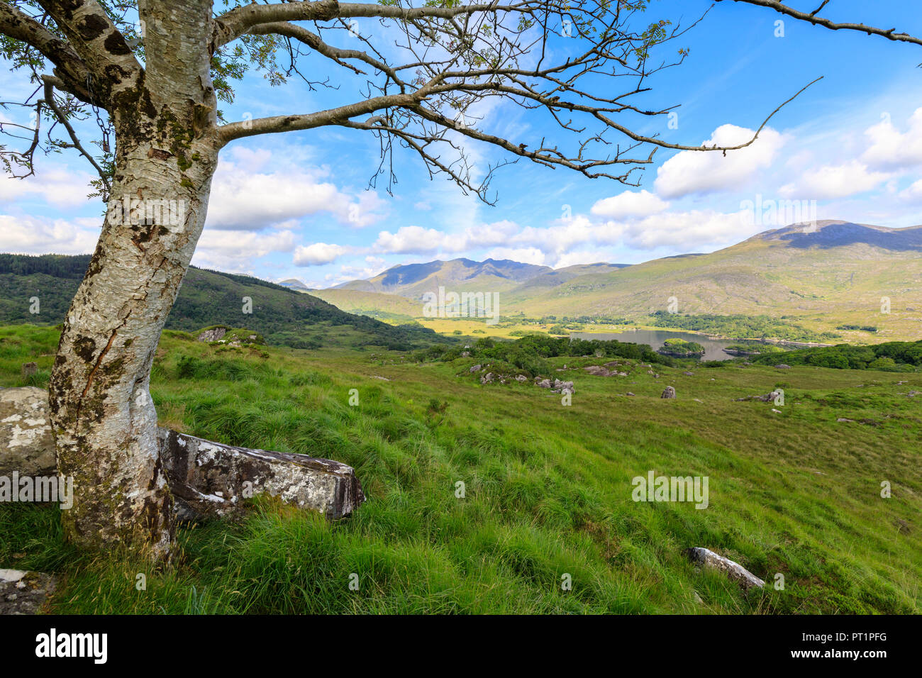 Killarney National Park, County Kerry, Ireland Stock Photo