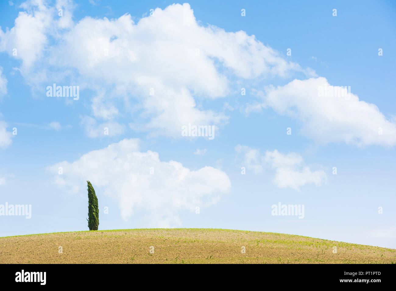 San Quirico d'Orcia, Val d'Orcia, Tuscany, Italy, Stock Photo
