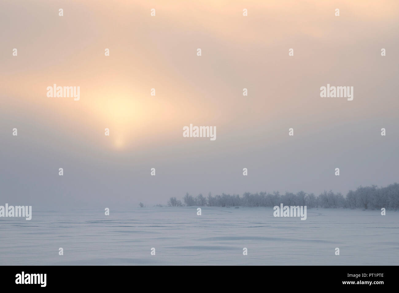 Twilight and mist on the snowy landscape, Muonio, Lapland, Finland, Europe, Stock Photo