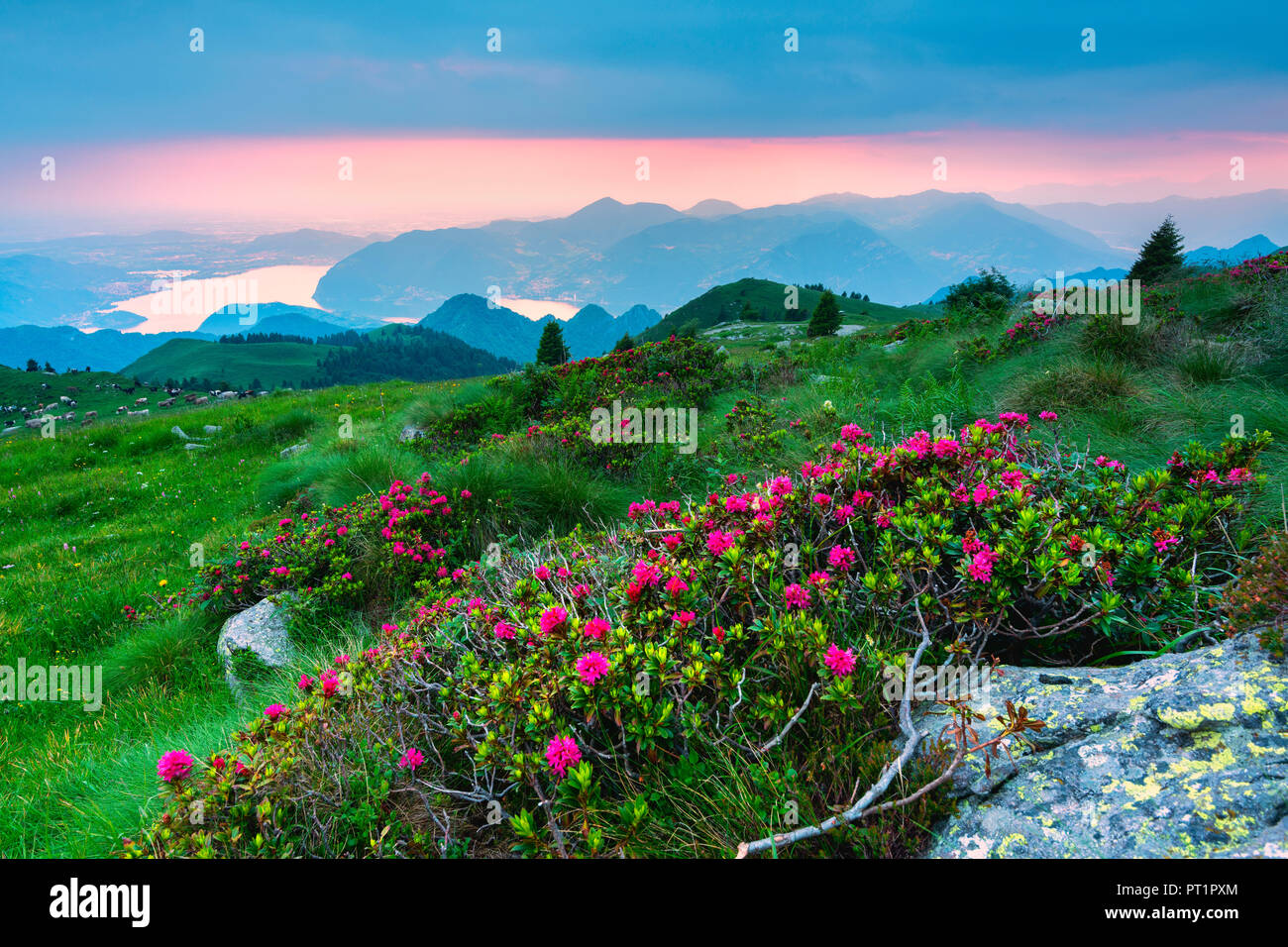 Mount Guglielmo at sunset, Lombardy district, Brescia province, Italy, Stock Photo