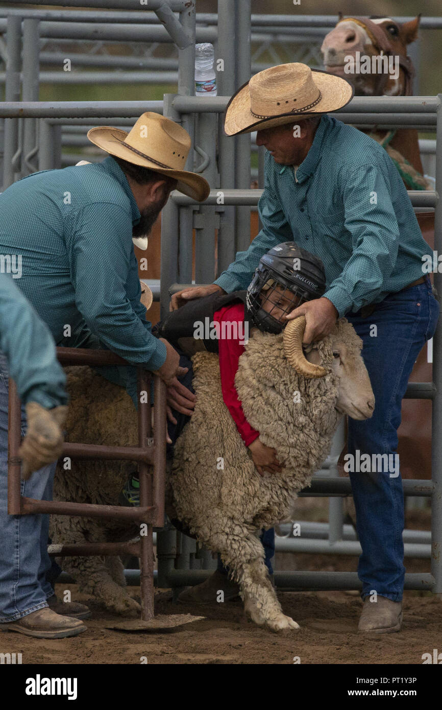 Colorado, USA. 22nd Aug, 2018. Cowboys assist children as they prepare to participate in mutton bustin' at the Snowmass Rodeo on August 22, 2018 in Snowmass, Colorado. Credit: Alex Edelman/ZUMA Wire/Alamy Live News Stock Photo