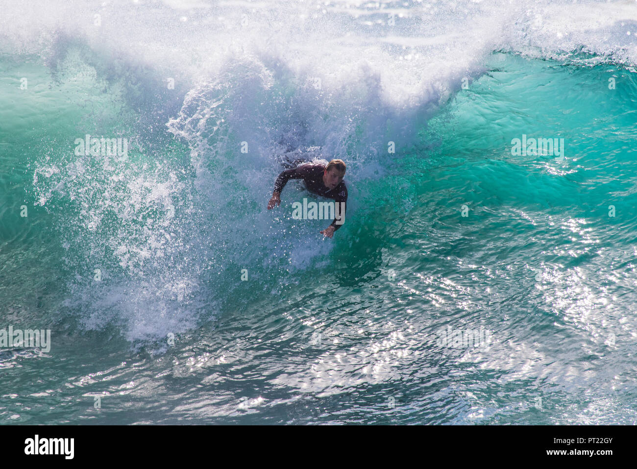 spot bodyboard