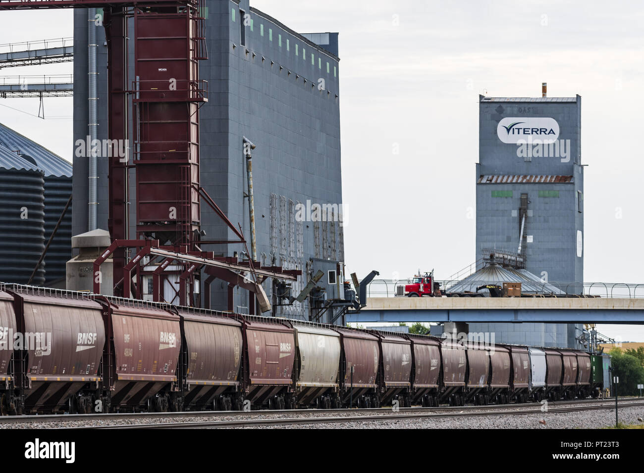 Ray, North Dakota, USA. 8th Sep, 2018. BNSF Railway hopper railcars on track next to a grain