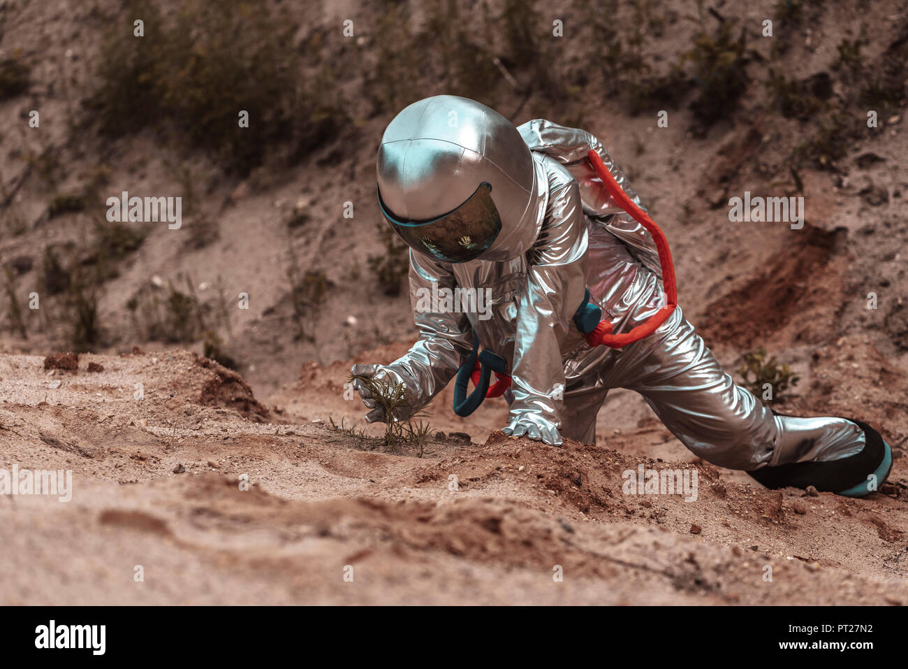 Spaceman exploring nameless planet, examining plants Stock Photo
