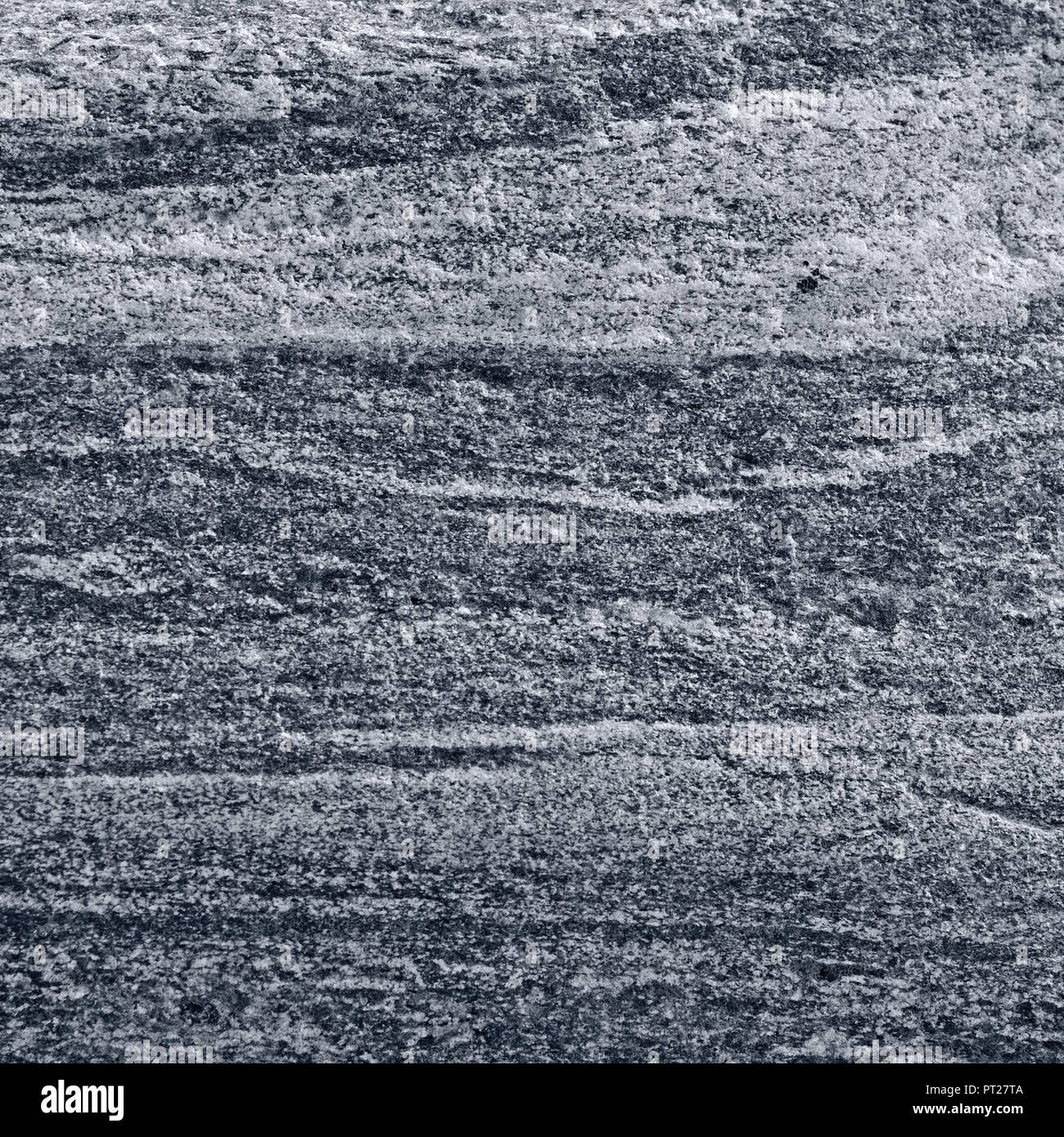 Migmatitic gneiss migmatite rock bands pattern, grey light dark banded granite texture macro closeup, large detailed textured silver gray horizontal Stock Photo
