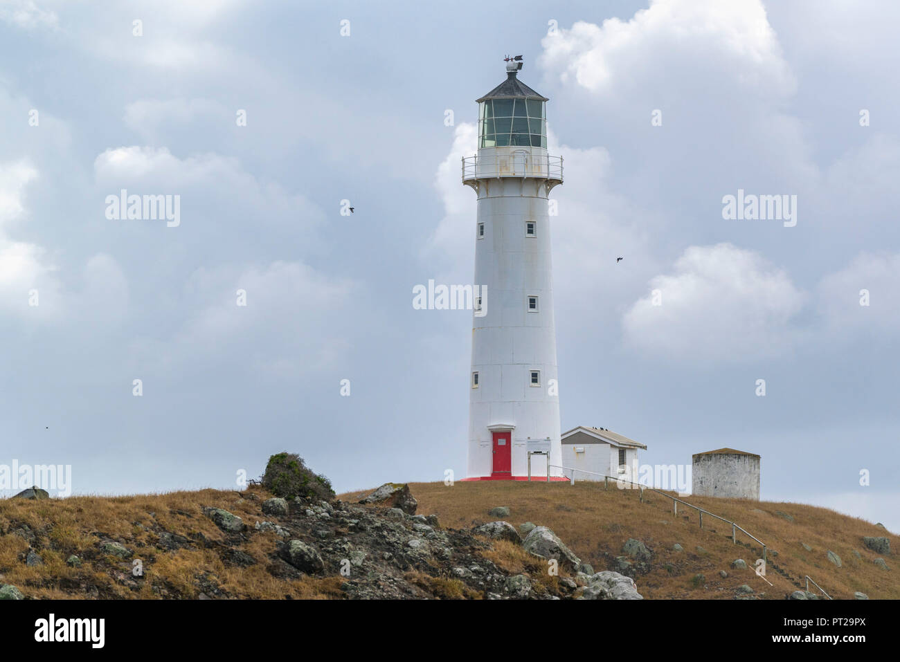 Cape Egmont lighthouse with a moody sky, Pungarehu, Taranaki region, North Island, New Zealand, Stock Photo