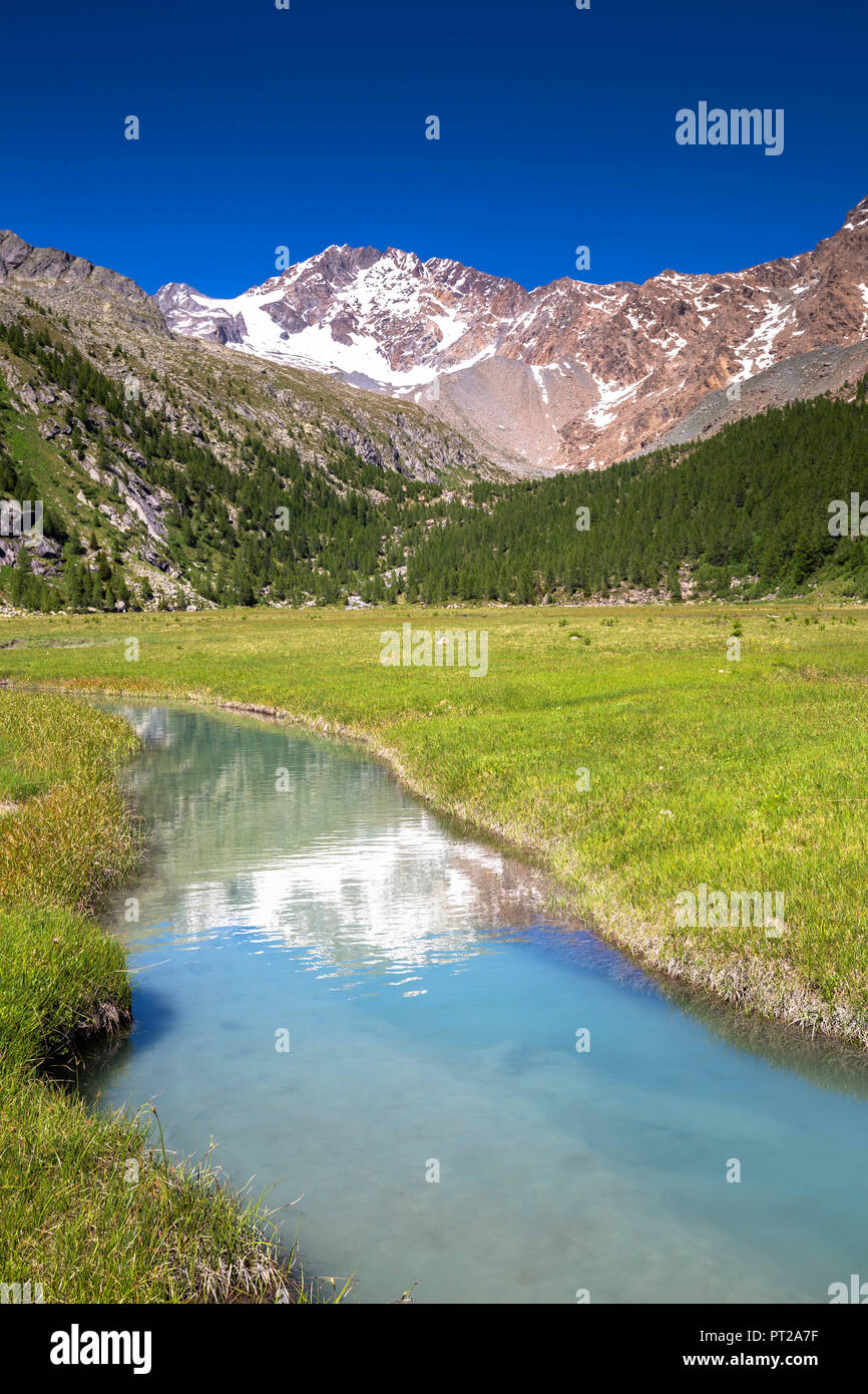 Mount Disgrazia is mirrored in a river, Predarossa valley, Valmasino, Valtellina, Lombardy, Italy, Europe, Stock Photo
