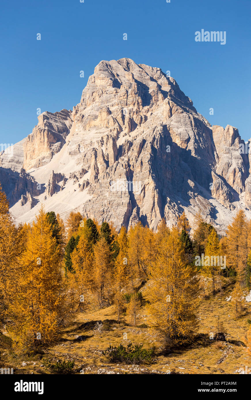 Mount Tofana di Mezzo, Falzarego Pass, Belluno district, Veneto, Italy Stock Photo