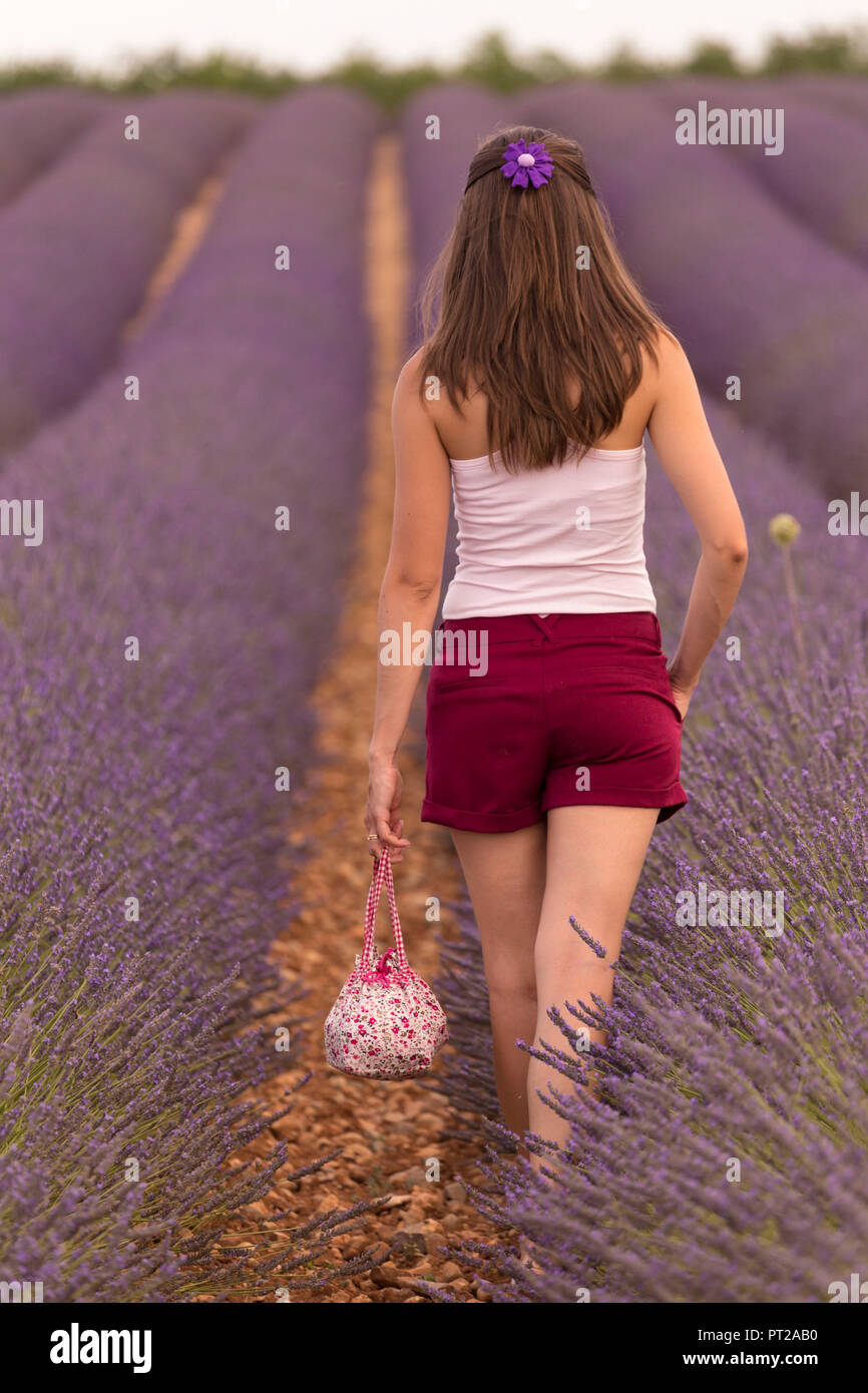 Brunette woman in white shirt and red shorts in a lavender field, valensole, provence, france Stock Photo