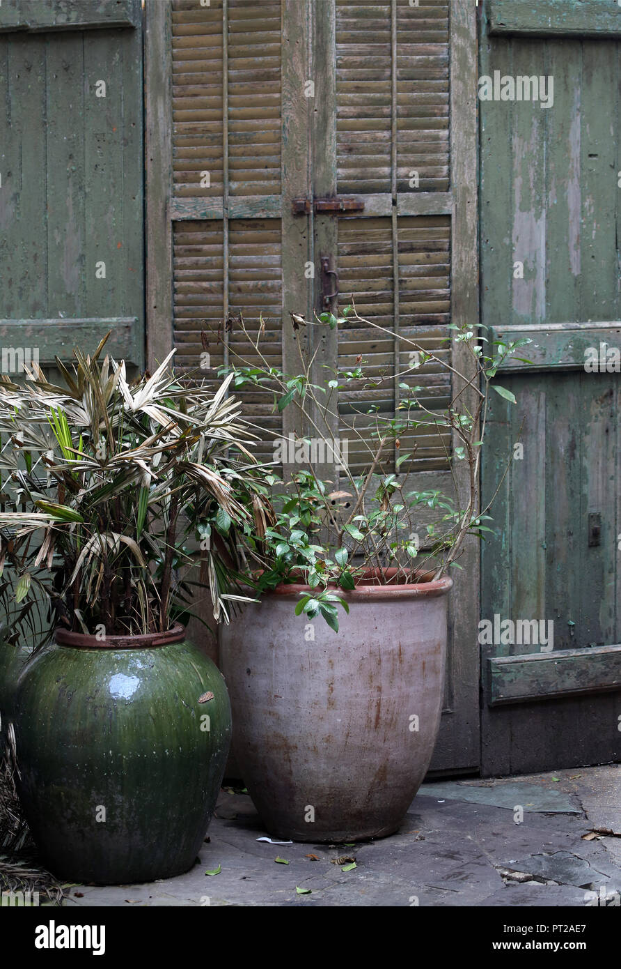 ceramic planters with rustic wooden shutter and old doors in background Stock Photo