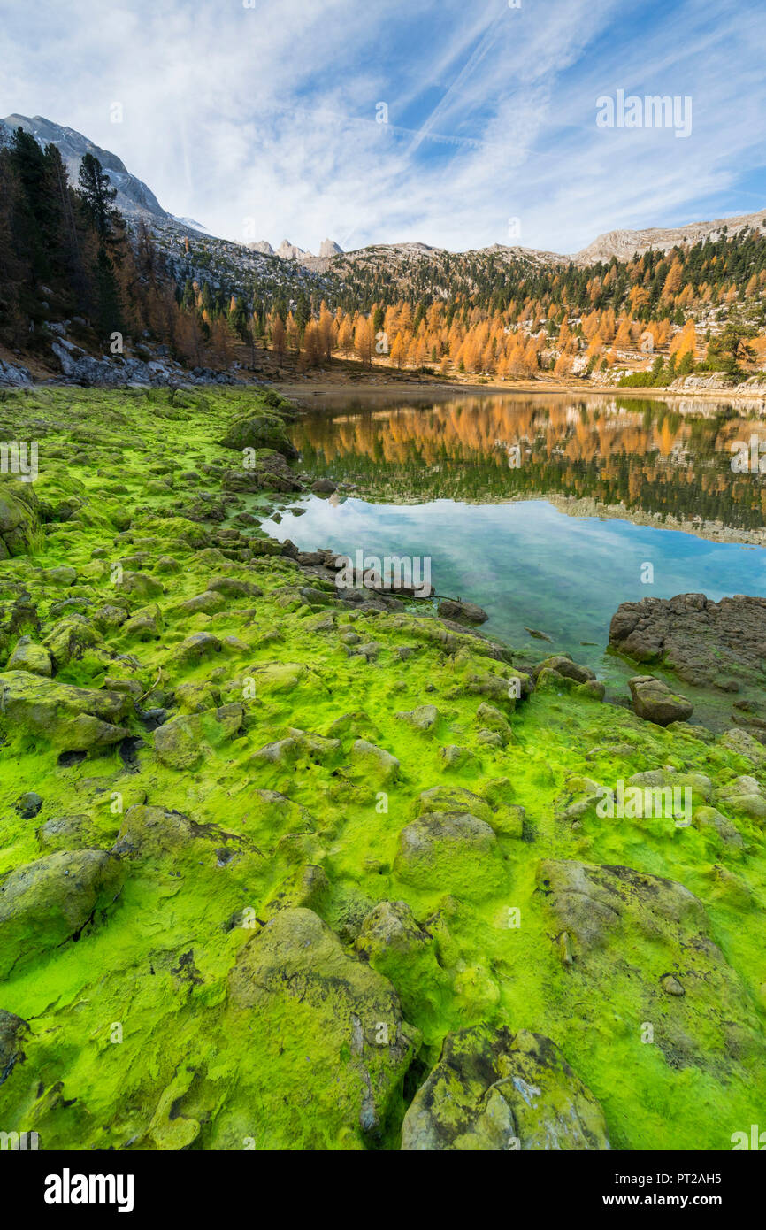 The Fanes lake in Dolomites with autumnal coulors, Fanes valley, Badia Valley, Trentino, Italy, Stock Photo