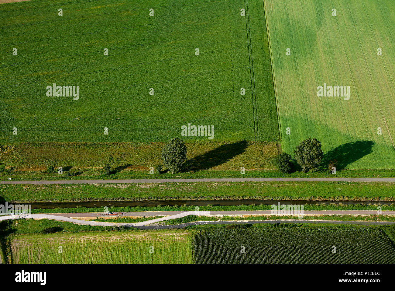 Seseke, inflow to the Lippe, brook, aerial view, Seseke art, Hogarth's Dream, Diemut Schilling, wood sculpture, Lünen, Kamen, Ruhr area, North Rhine-Westphalia, Germany, Europe, Stock Photo