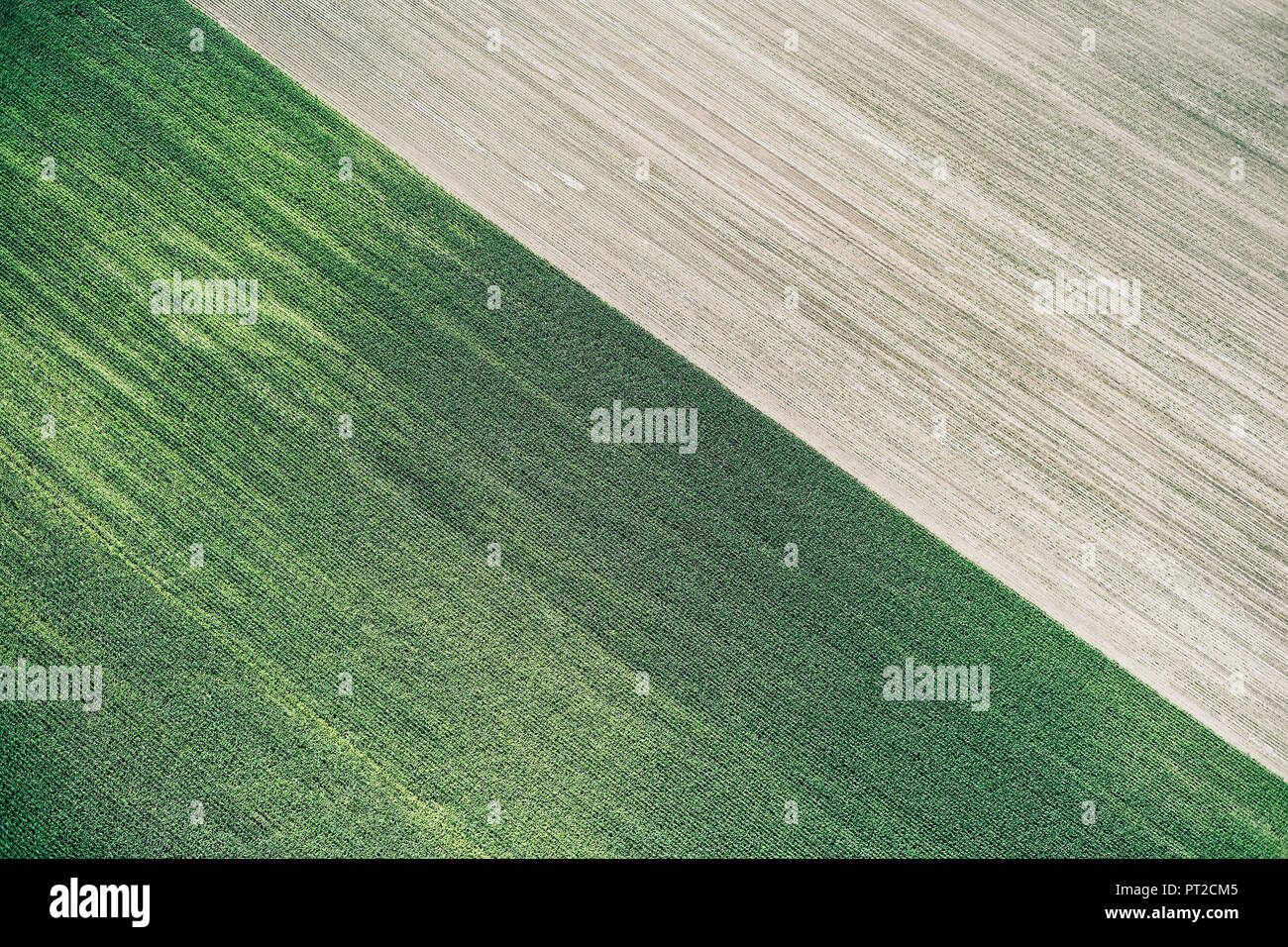 USA, Corn field and freshly harvested field in Western Nebraska Stock