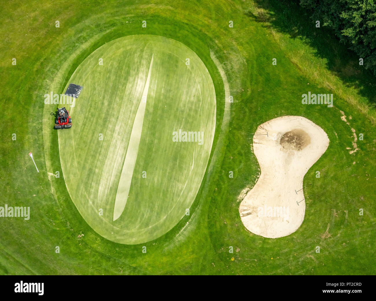 Golfclub Gut Berge, golf course, golf, mower, mower on the putting area, Gevelsberg, Ruhr area, North Rhine-Westphalia, Germany Stock Photo