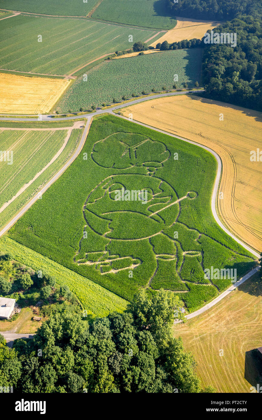 Maize maze, farmer Benedikt Lünemann from Cappenberg has taken global warming as a theme this year, the globe groans under the exhaust fumes from car traffic and the coal-fired power plants, Selm, Ruhr area, North Rhine-Westphalia, Germany Stock Photo