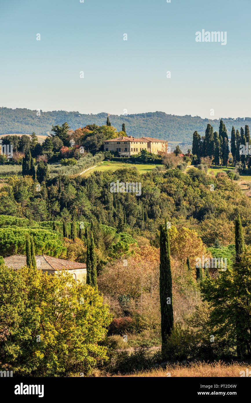 Italy, Tuscany, cultural landscape with pine trees and cypresses Stock Photo